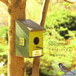 Chidiyawas- Painted Wooden Bird House