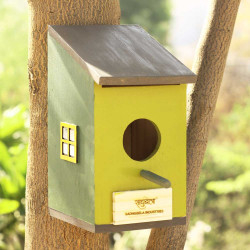 Chidiyawas- Painted Wooden Bird House