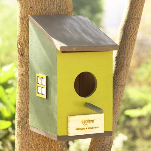 Chidiyawas- Set of 2 Painted Wooden Bird House