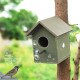 Pakshi Gruh- Mud Art Wooden Bird House-Darpan Lata Art