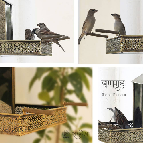 Danagruh- Antique Golden Wall Mount Bird Feeder
