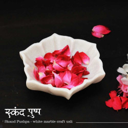 Skanda Pushpa- Hexagonal White Marble Flower Urli Bowl - 5"