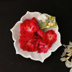 Skanda Pushpa- Hexagonal White Marble Flower Urli Bowl - 6"