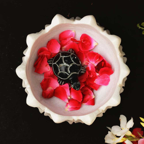 Kurmavtar - Divine Support- Black Stone Turtle in Lotus-Shaped Urli Bowl